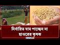 ধানের সরকার নির্ধারিত দাম পাচ্ছেন না হাওরের কৃষক | Paddy | Haor Farmer | News24
