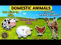 Domestic Animals and their uses | Pet Animals |  WATRstar