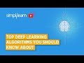 Top Deep Learning Algorithms You Should Know About | Deep Learning Algorithms Explained |Simplilearn