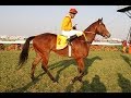 Indian Turf Invitation Cup 2009 Hyderabad Y S Srinath on Autonomy