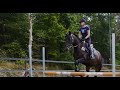Mbo-opleiding paardensport en -houderij