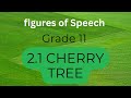 2.1  Cherry Tree / Figures of speech / Poetic Devices / 11 th std poem
