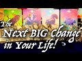 PICK A CARD 🔮 The Next Big Change in Your Life! 🤩