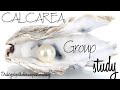CALCAREA - Group study of MM