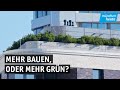 Mehr Grünflächen und mehr Bebauungen