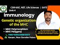 Genetic organization of the MHC | MHC Polymorphism \u0026 MHC Polygeny | Immunology#genesis_institute
