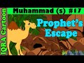 Prophet's escape | Muhammad  Story Ep 17 || Prophet stories for kids : iqra cartoon Islamic cartoon