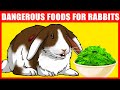 Vegetables and Fruits That Will Kill Your Rabbit