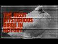 Strange But True Stories: The Most Mysterious Birds in History | Episode 192