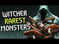 Witcher. 10 UNIQUE MONSTERS of Continent
