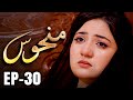 Manhoos – Episode 30 | Cursed Love, Dark Secrets | New Pakistani Drama