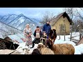 IRAN NOMADS! Birth of a Beautiful lamb and the Preparation Butter from Cow's Milk