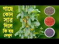 গাছে কোন সারের কি কাজ জেনে নিন - কোন সার কখন কতটুকু প্রয়োগ করবেন - Fertilizer Introduction