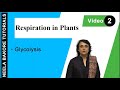 Respiration in Plants | NEET | Glycolysis | Neela Bakore Tutorials