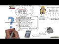 VideoScribe - Writing Learning Objectives
