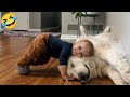 Funny animals videos of Cats🐈 and Dogs🐕2025. Try Not To Laugh 😂