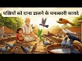 पक्षियों को दाना डालने के चमत्कारी फायदे | Bird Feeding Benefits | सुख-समृद्धि और पितरों का आशीर्वाद