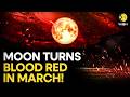 Blood Moon 2026: Why This Rare Total Lunar Eclipse Will Turn The Sky Red | WION Originals