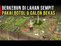 GARDENING IN A SMALL PLACE USING USED GALLONS AND POTS WITH THE VERTICULTURE METHOD | BUSINESS STORY