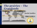 The prairies | The Grasslands | Class 4 | What is known as the prairies? Where are the grasslands?