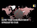 Coronavirus: From mysterious origins to a global threat