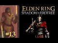 Let's Play Elden Ring: Shadow of the Erdtree Part 13 - The Shadow Keep \u0026 Specimen Storehouse