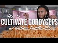 How to Cultivate Cordyceps Militaris Mushrooms | With William Padilla-Brown | Grow in Jars or Bins
