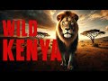 WILD KENYA | Diverse Nature of Kenya Full Documentary