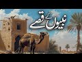 Nabio kay Qissay | Qasas ul Ambiya | Allah kay pyaray Nabio ki zindagi kay waqiat
