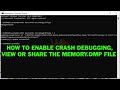 How to Enable Crash Debugging, View and Share Memory DUMP File in Windows 10 and Windows 11