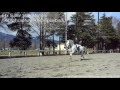 The Super Slow Motion Movie Taken by 3-layer Stacked CMOS Image Sensor with DRAM 1000 FPS by sony