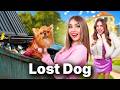 Millionaire’s Family Adopted a Poor Dog! We Found Lost Dog in a Dumpster