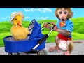 Macaco Bon Bon colhe melancias com patinhos coloridos | BONBON BRAZIL
