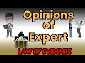 Opinion of Expert 👨‍💼👨‍💼🕵️ According to the Law of Evidence