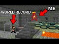 I Speedran the World Record seed 100 times. Did I beat the record?