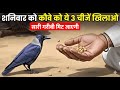 शनिवार के दिन कौवे को ये ३ चिजें खिलाने से सारी गरीबी खत्म हो जाएगी। Manvit Stories