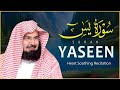 Heart Soothing Recitation of Sura Yaseen | (36) سورۃ یس Recited Sheikh Abdur-Rahman As-Sudais