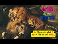 #शेर सिंह का #सांड अकेले ही #बाघ से भिड़ गया तभी #कॉर्बेट...#Bull vs #Tiger #jimcorbett #CorbettLore