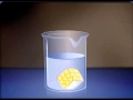 How Diffusion Works