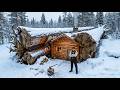 How He Built His Cabin Against a Fallen Giant Pine — the Trunk Became His Warmest Wall