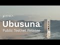 HOW TO ADD XENEA NETWORK  ON WALLETS \u0026 PARTICIPATE ON XENEA WALLET TESTNET  ( airdrop eligibility)