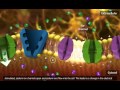 Nerve Impulse Molecular Mechanism [3D Animation]