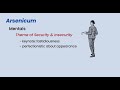 Materia Medica Series #19 Arsenicum