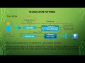 Lecture- 29 | Translation Pattern vs Transformation Pattern