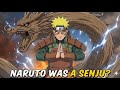 (Full Movie) What If Naruto Was A Senju?