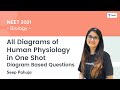 All Diagrams of Human Physiology in One Shot | NEET Biology | Seep Pahuja
