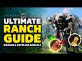 Crimson Desert ULTIMATE Ranch Guide - How To Unlock Ranch, Farm Animals, Feed \u0026 Level Livestock Fast
