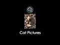 TryHackMe | Cat Pictures Room Walkthrough