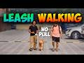 How To Stop Your Dog From Pulling On The Leash During Walk (3-Day Fix!) 🐾 #DogTraining