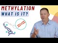What is Methylation and How it Impacts our body?